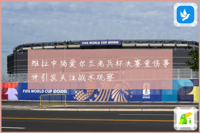 维拉中场爱尔兰老兵杯决赛重伤事件引发关注战术观察