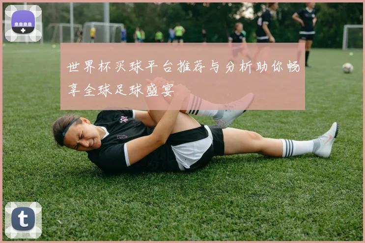 世界杯买球平台推荐与分析助你畅享全球足球盛宴