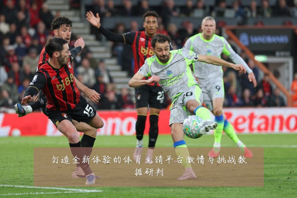 打造全新体验的体育竞猜平台激情与挑战数据研判